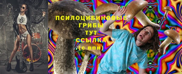 трава Балахна