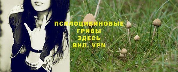 трава Балахна