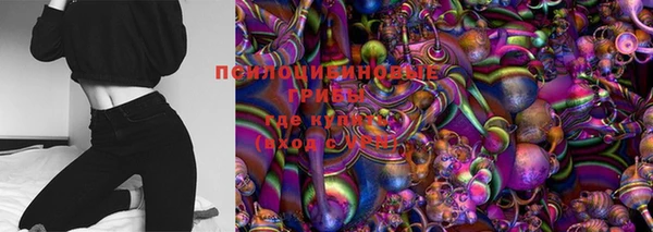 ПСИЛОЦИБИНОВЫЕ ГРИБЫ Баксан