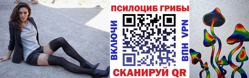 Галлюциногенные грибы Psilocybine cubensis  Соль-Илецк 