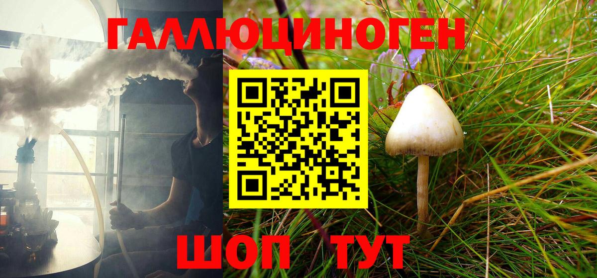 Псилоцибиновые грибы Соль-Илецк