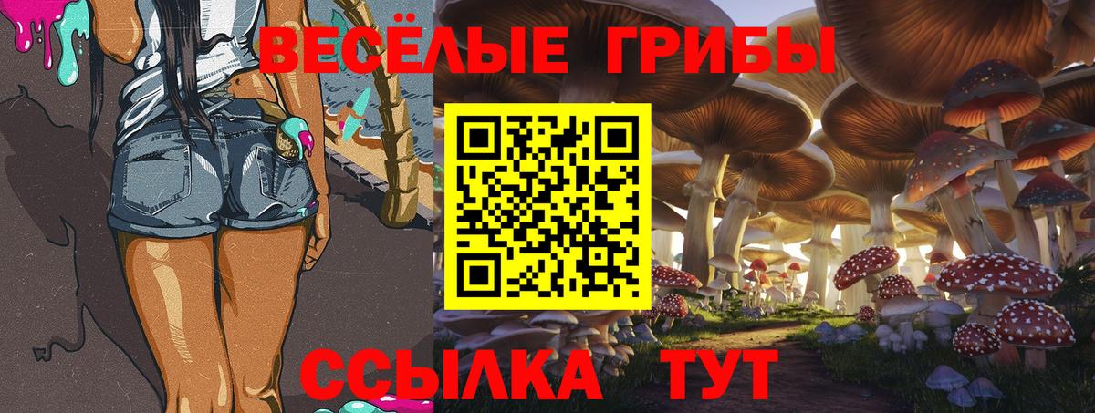 Галлюциногенные грибы MAGIC MUSHROOMS Соль-Илецк